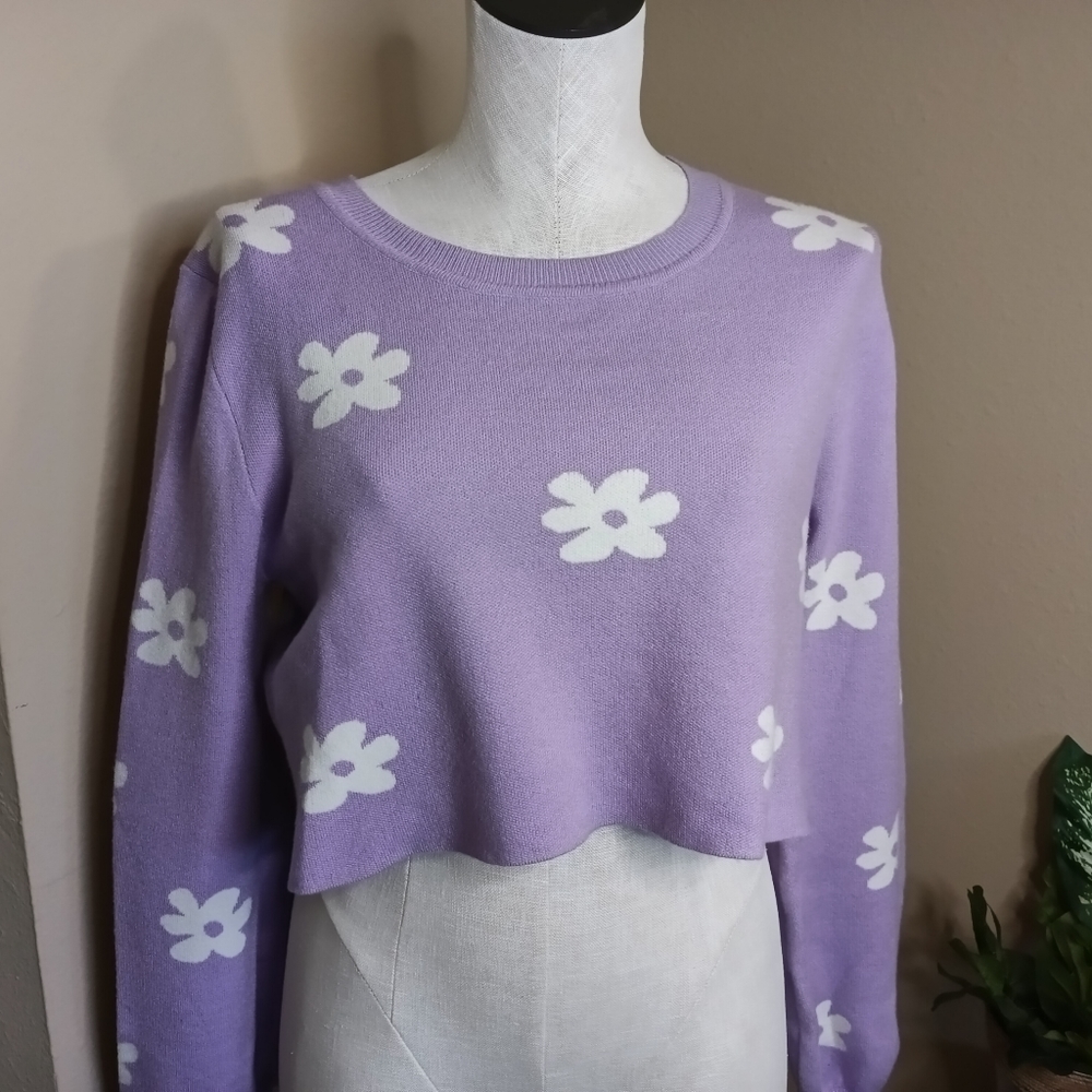 Blue Blush Cropped Sweater Small